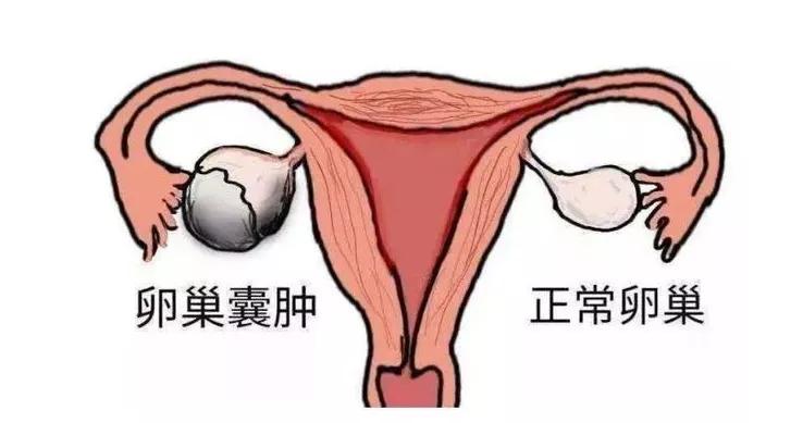 儿童误诊的5种病例,容易误诊的小儿病