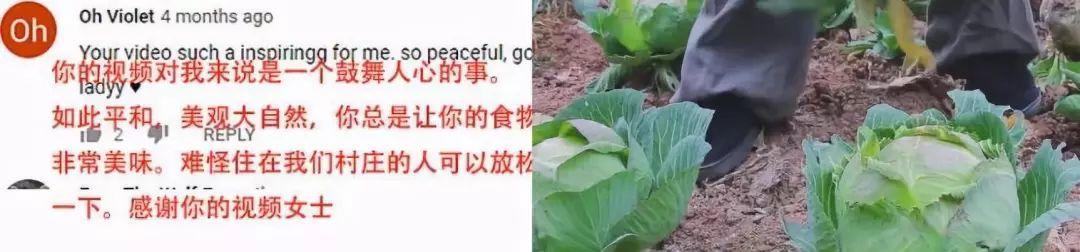 她在全世界圈粉,却在国内挨骂