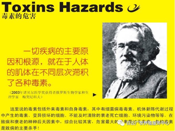 效养蛋禽-全解--如何高效有力的养殖蛋禽增加产蛋，收入