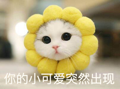 十大公认好用的水乳红黑测评,那些年你用的平价又能美白的水乳