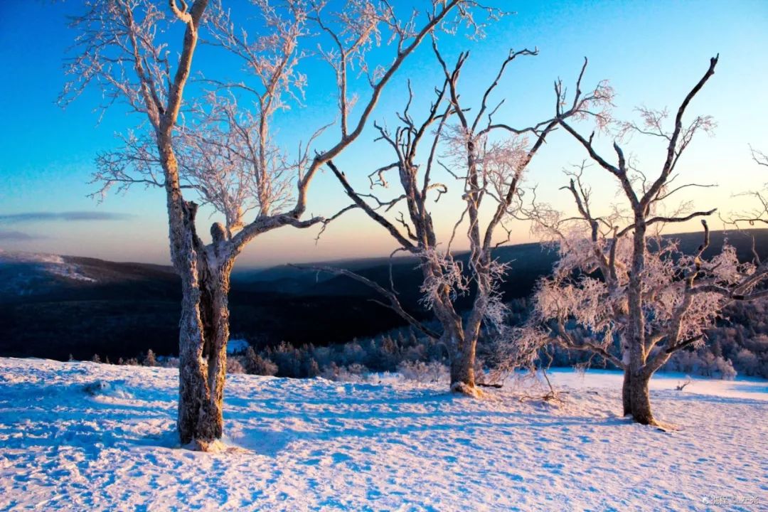 国内这7个绝美雪景地,看到第一个我就想去了!
