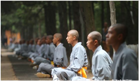 真正的少林功夫在哪里,少林功夫都有什么
