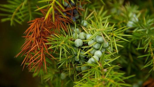 孩子皮肤过敏怎么治最快最有效,孩子皮肤过敏最快缓解方法