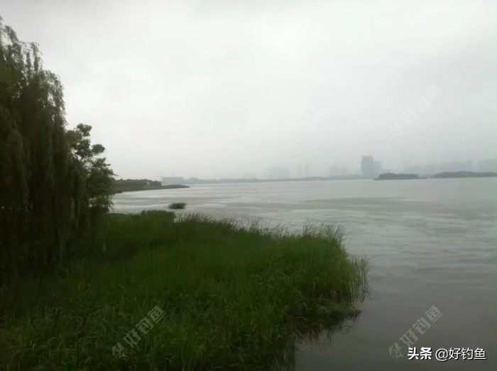 「乡渔汇文」我儿时死里逃生的经历及钓鱼剪影