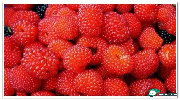 广西80后农村童年经典回忆,80后的童年回忆广西的农村生活