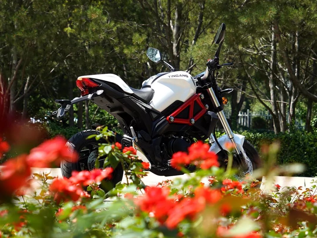 小怪兽yg150-23a声浪,新奇小怪兽