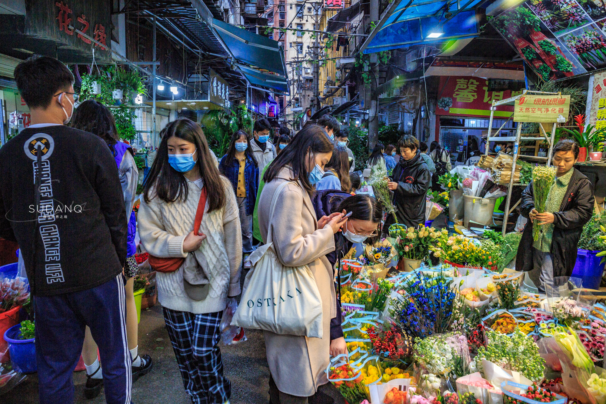 武汉铁机路花市,武汉解放公园花市