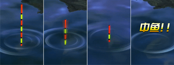 钓鱼王者之战第四日现场直播,钓鱼王者台钓