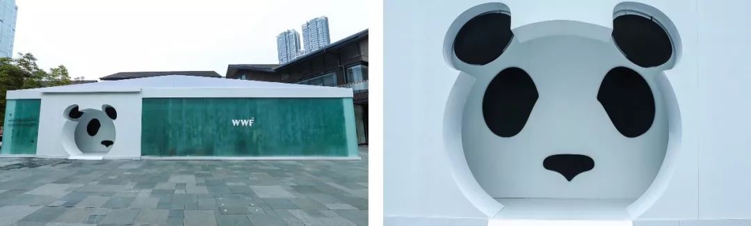 郑云龙同款鞋子,郑云龙的鞋子