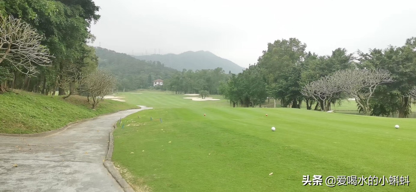 高尔夫球规则及玩法,4分钟了解高尔夫球怎么玩