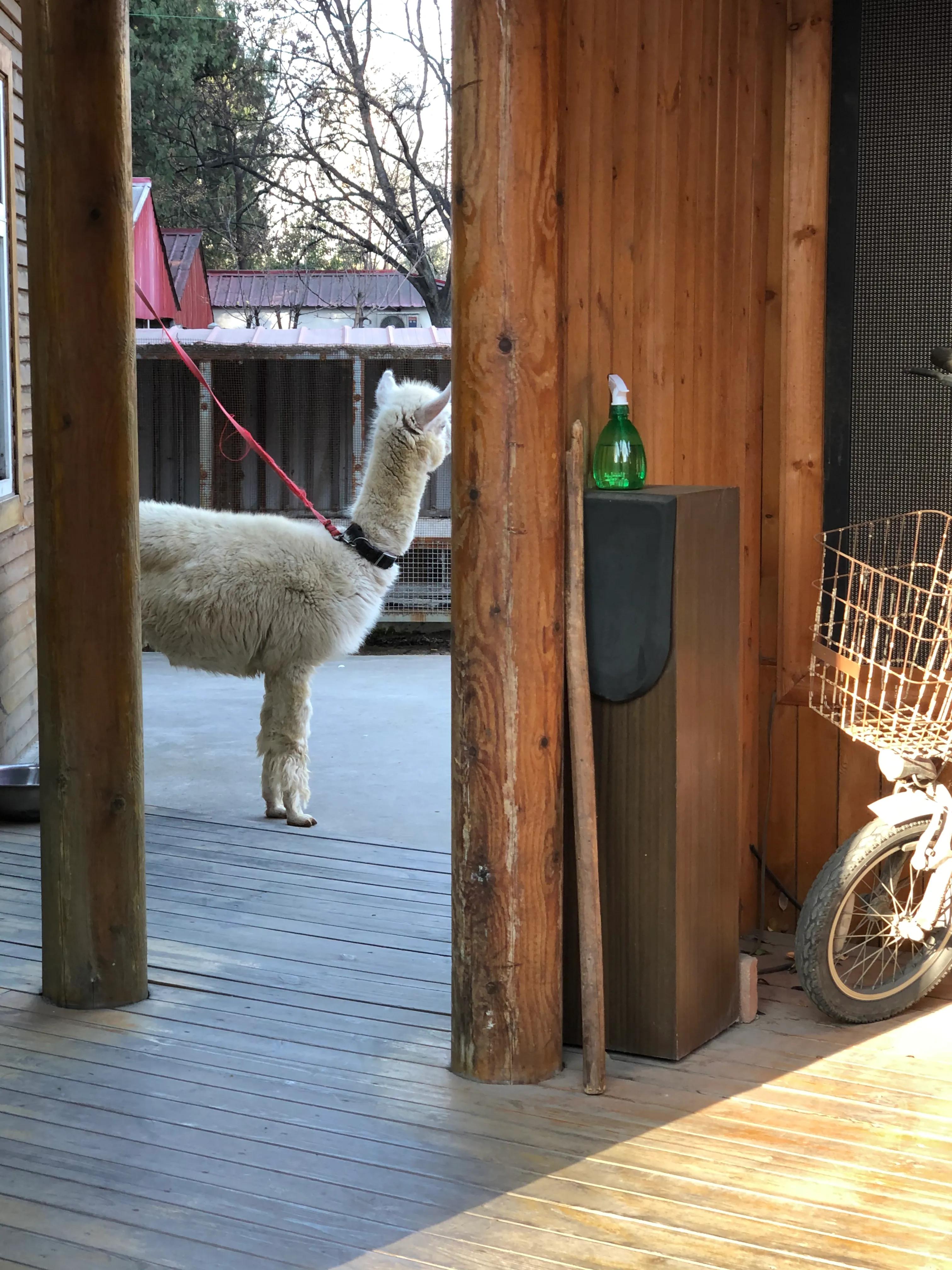 平顶山河滨公园旅游攻略,平顶山森林公园游记