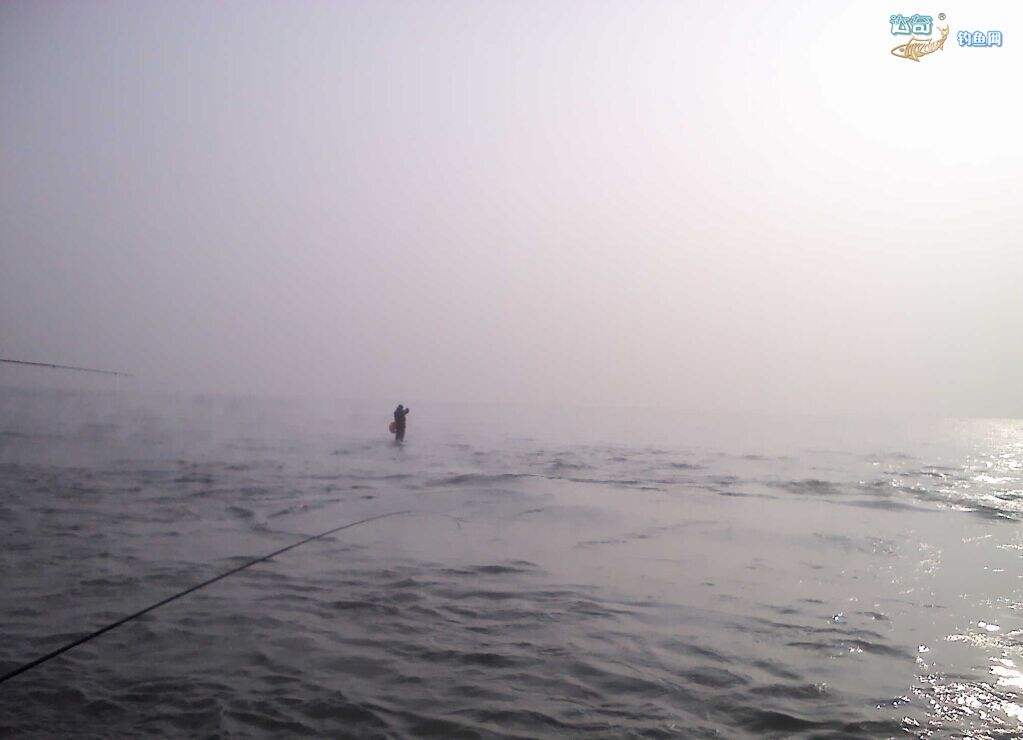 传统钓哪个牌子的鱼竿好,传统钓鱼竿哪款性价比高
