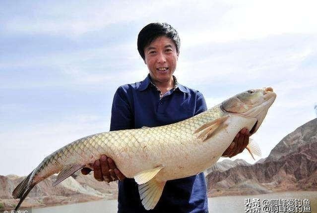 野钓用海竿钓巨物技巧,海竿中鱼率最高的野钓方法