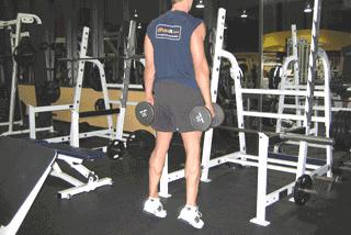 为什么女性的腿比男性的粗,女生什么样的腿型是标准的身材