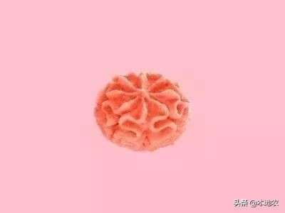 珍妮曲奇需要预热吗,提前准备七夕礼物热榜