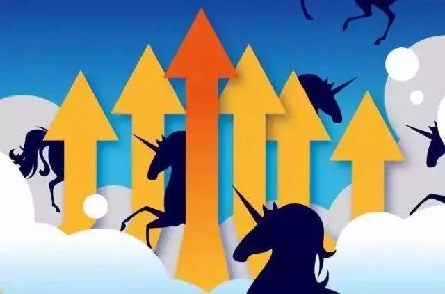 教育独角兽,教育机构独角兽