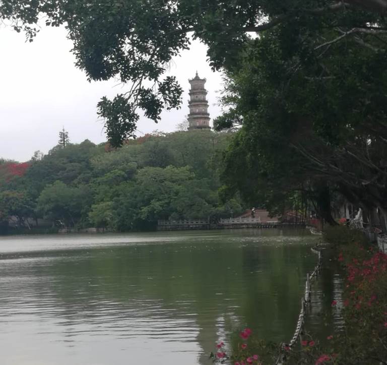 千里会战友,广州述友情作者:张开喜