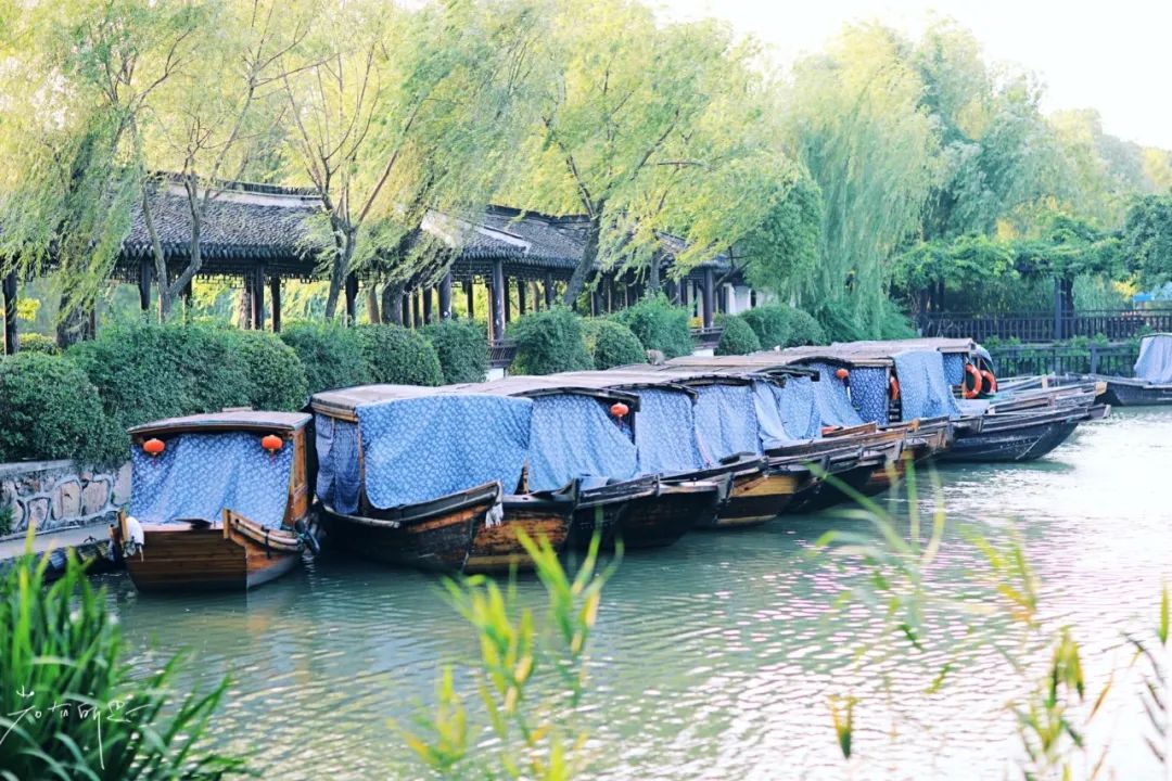 娌欏娴滅殑绱壊鑺辨捣,娌欏娴滈鏅尯鑺辨捣