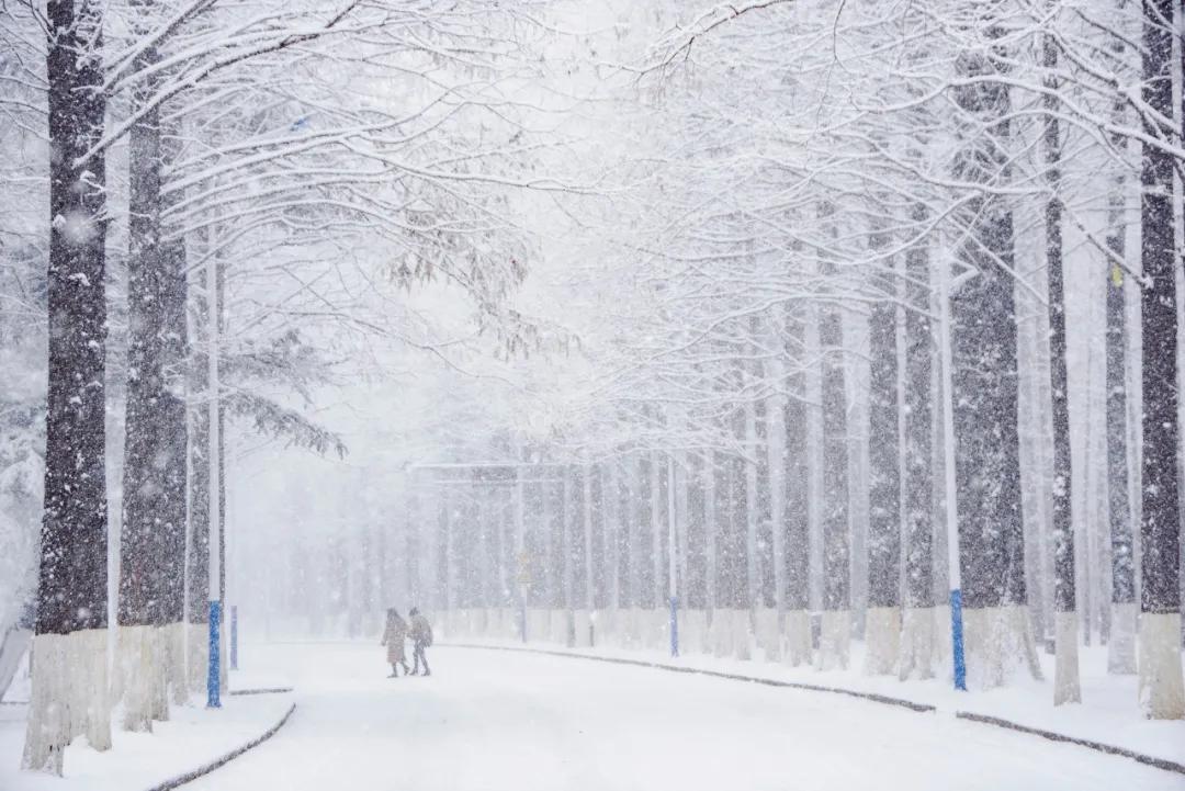 三亚和厦门哪一个更值得去旅游,三亚和厦门哪个地方值得去