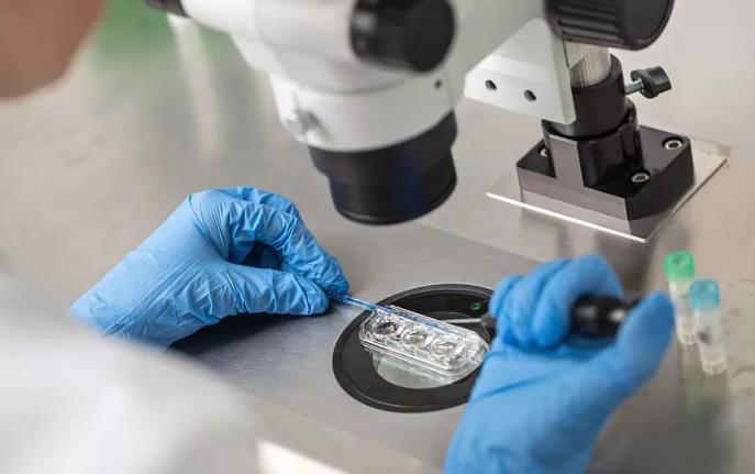 鑻卞浗濂冲瓙缃戜笂璐拱閽堢瓛,閽堢瓛浜哄伐鎺堢簿