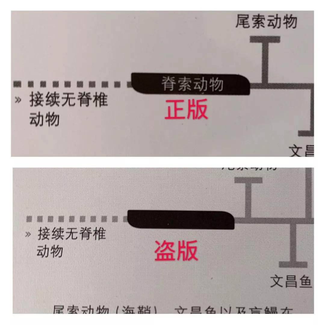 买到了盗版的书怎么办,买到盗版书了该怎么办