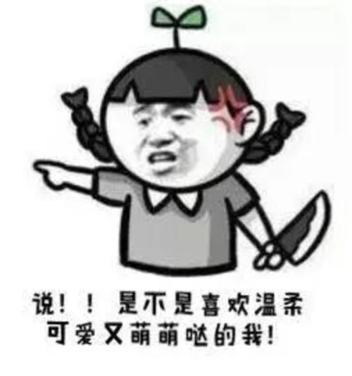 这*子骗**抓起来就得枪毙