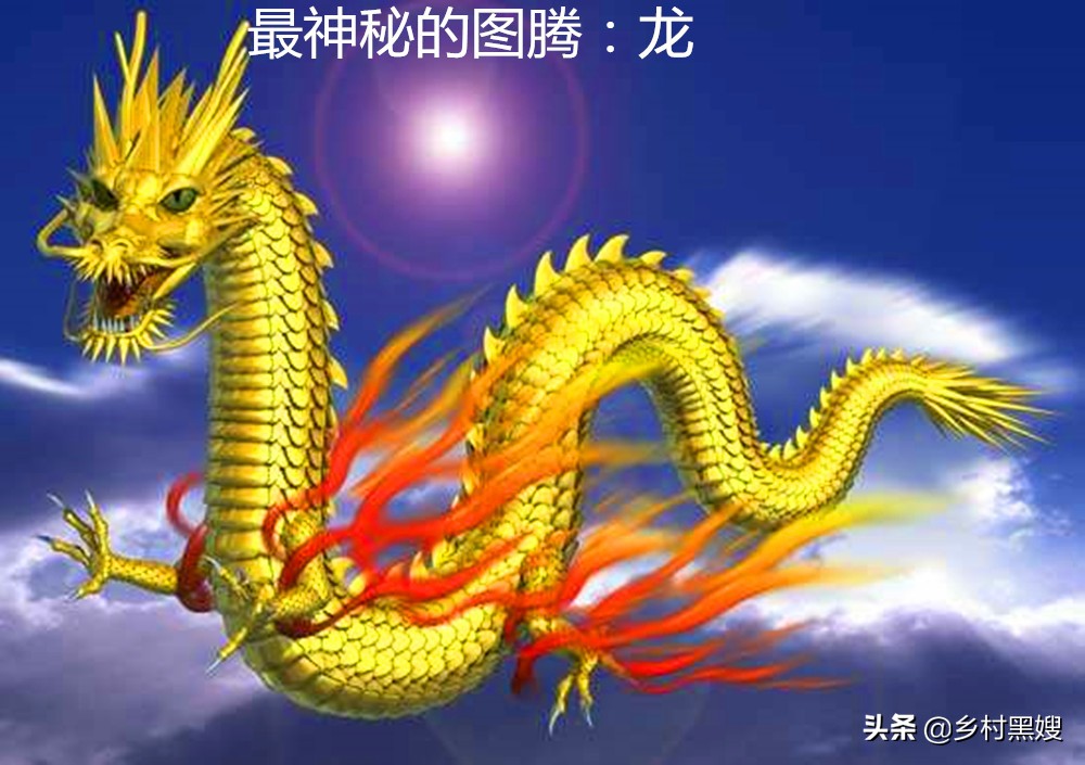 古时候真的有龙和蛟吗,解密古代真有龙么