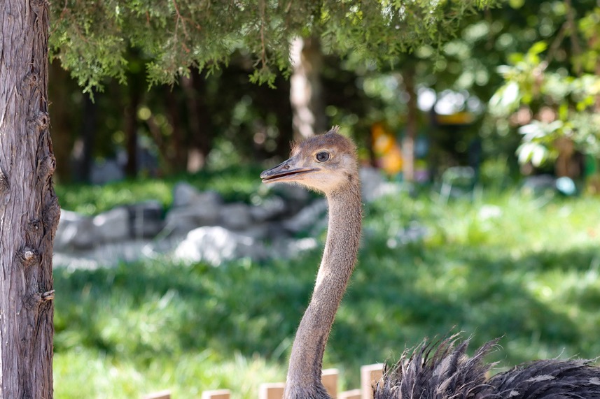 3250万像素仅售7649元，佳能新出的90D单反究竟有多香？