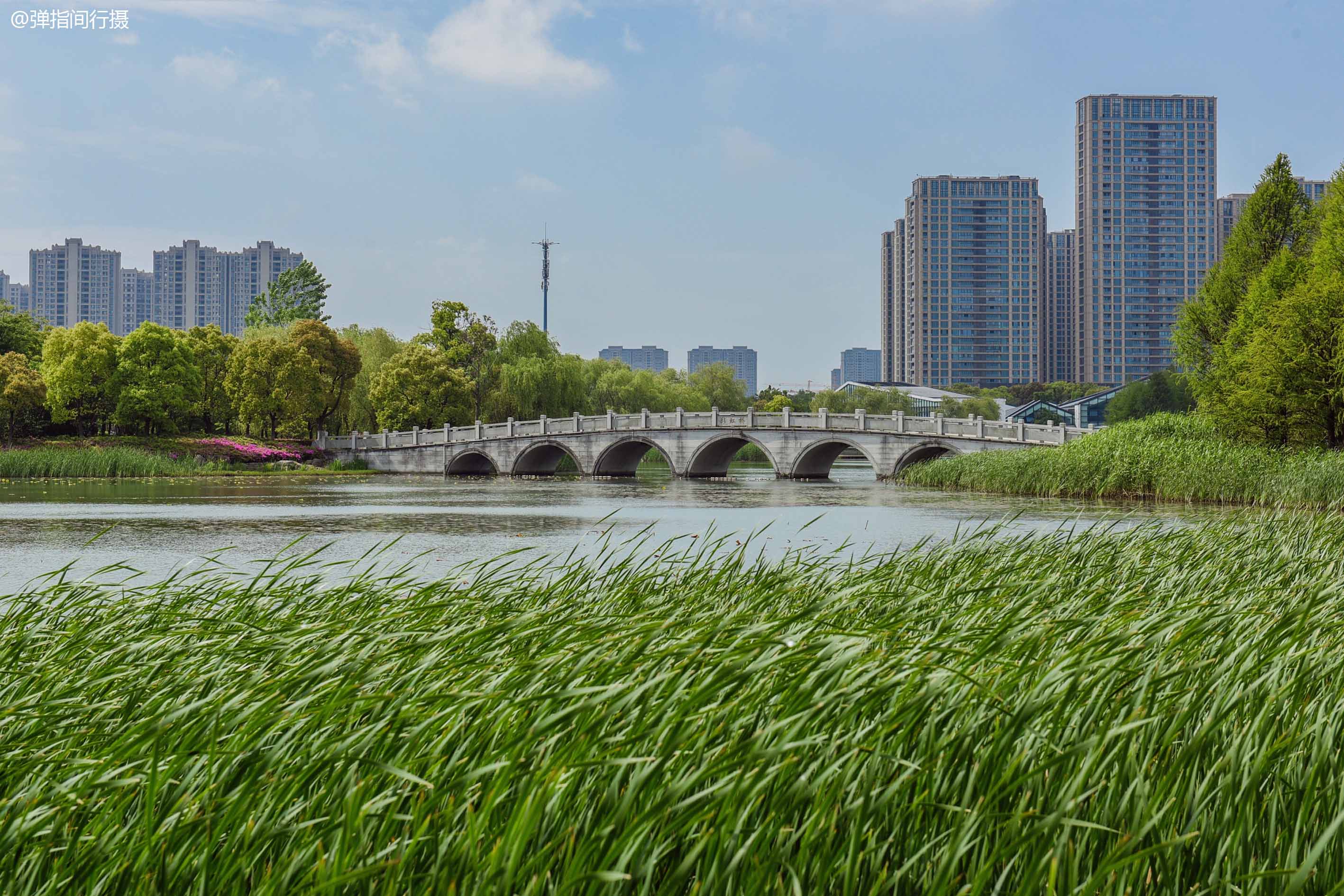 苏州太湖国家湿地公园值得去吗,苏州太湖湿地公园秘境