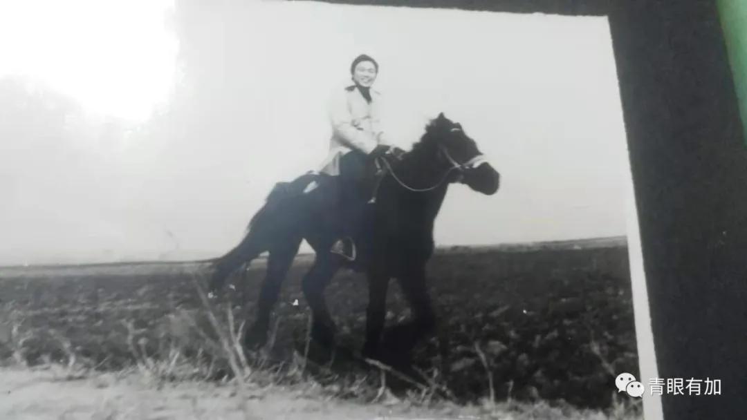 家乡方城︱我曾经有一群吹拉弹唱、能歌善舞的好友