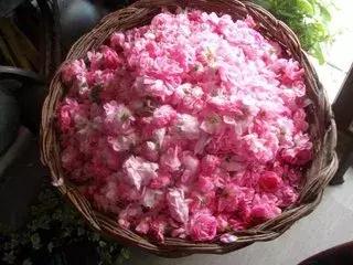 年度推荐抗皱涂抹面膜,年度面膜推荐好用不踩雷美白