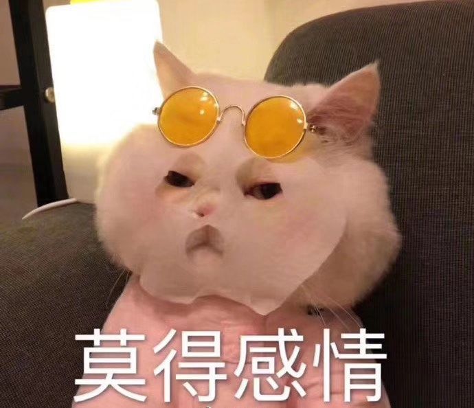 夫妻粤b牌照能过户吗,夫妻车牌过户后指标还有吗