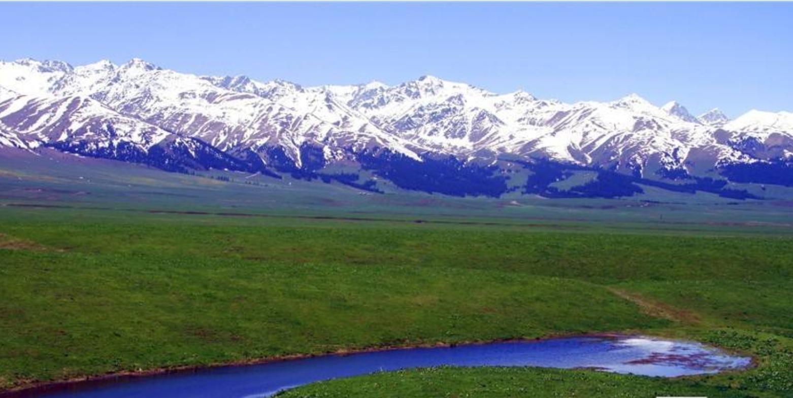 新疆伊犁人间仙境,新疆真正的人间仙境视频