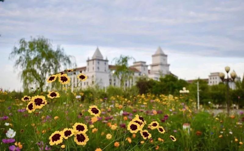 閿﹀煄鐨囧璐垫棌瀛﹂櫌,鎴愰兘閿﹀煄璐垫棌瀛﹂櫌
