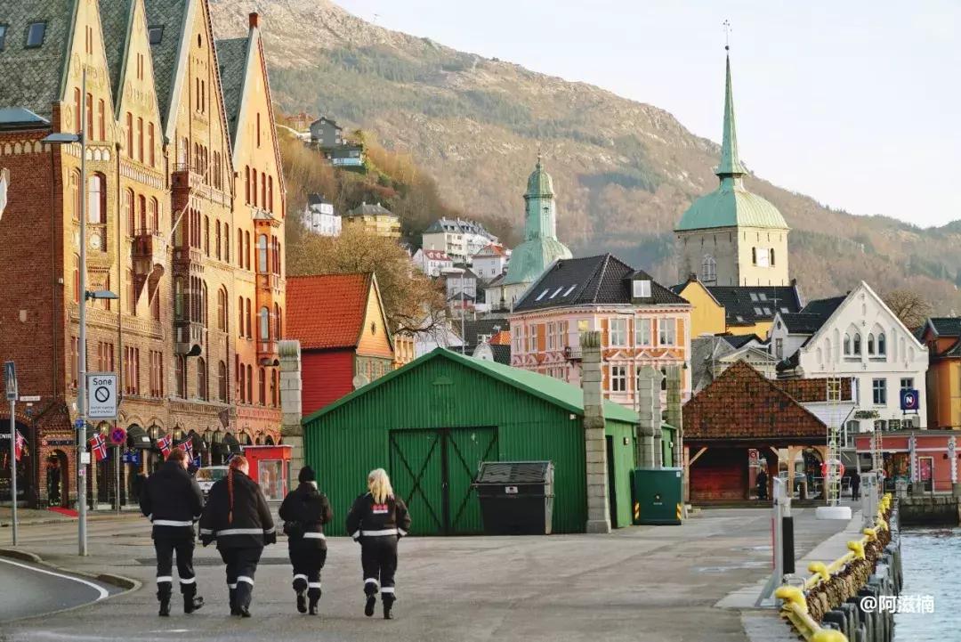 为了吃最贵的鱼你们会驱车多远,世界上最难吃的鱼青花鱼