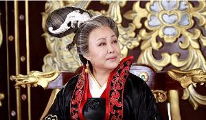 如何评价武则天的历史功过,历史人物对武则天的评价