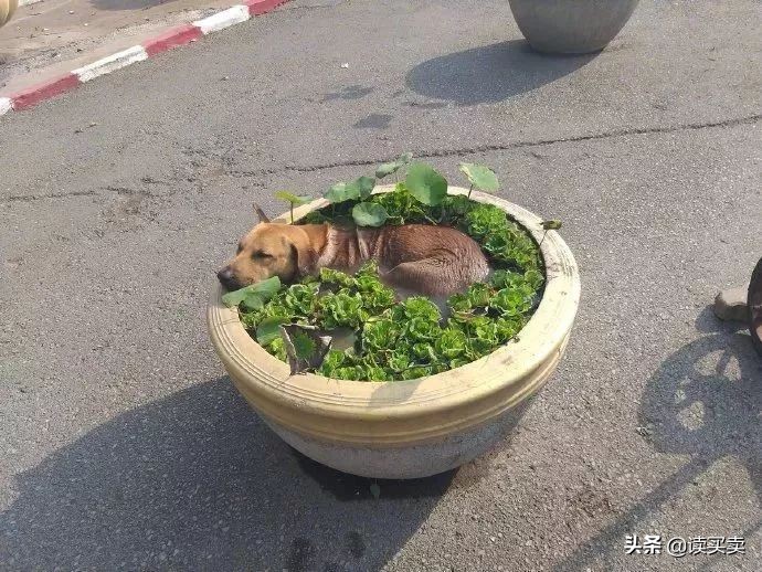 怎么样判断一个男生直不直男,怎么判断一个男的直不直男