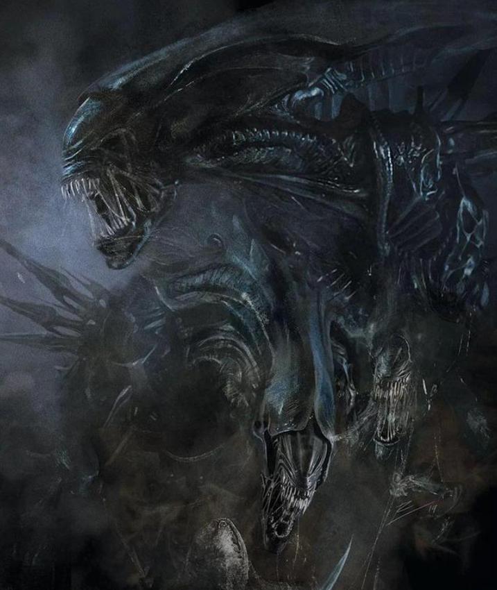 寮傚舰vs閾佽鎴樺＋娣卞害瑙ｈ,涔愰珮閾佽鎴樺＋vs寮傚舰