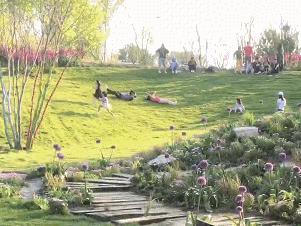 欢迎踩踏？可以停车？聊聊你#做梦也想要的草坪#