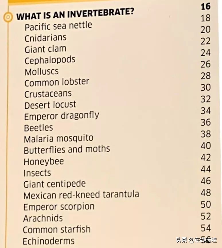 dk知识大百科全套,dk知识大百科书金银版
