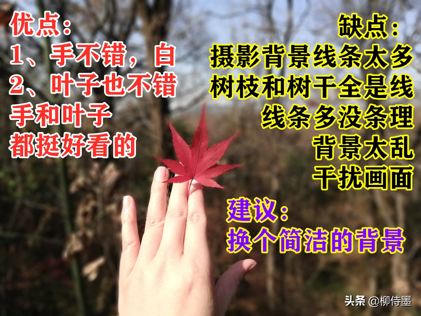 摄影新手如何拍摄照片教程,新手学习摄影入门第一步