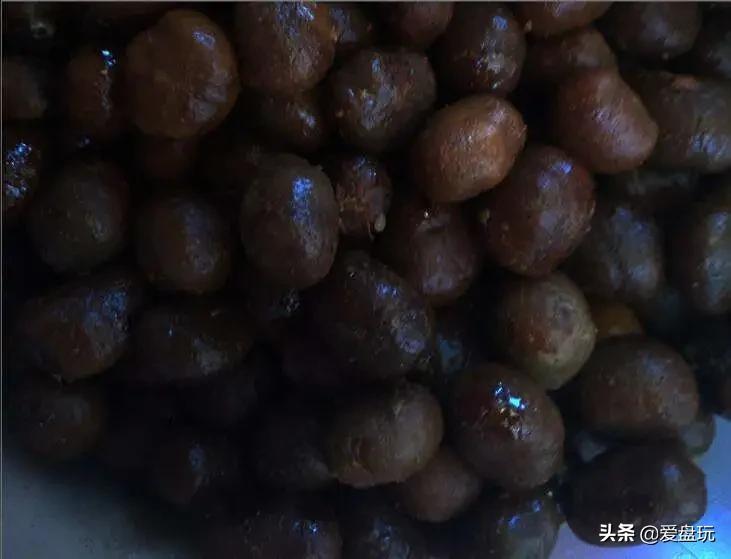 星月菩提没有星的是什么品种,星月菩提只有星没有月