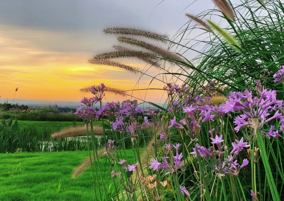 峨眉山低山区景点,峨眉山小众秘境