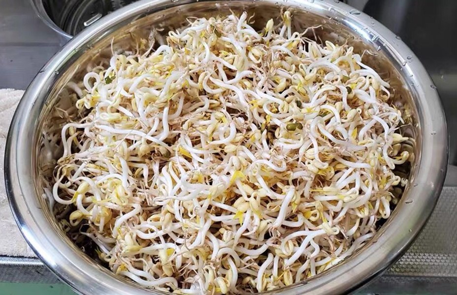 想吃豆芽自己生,想吃豆芽自己动手