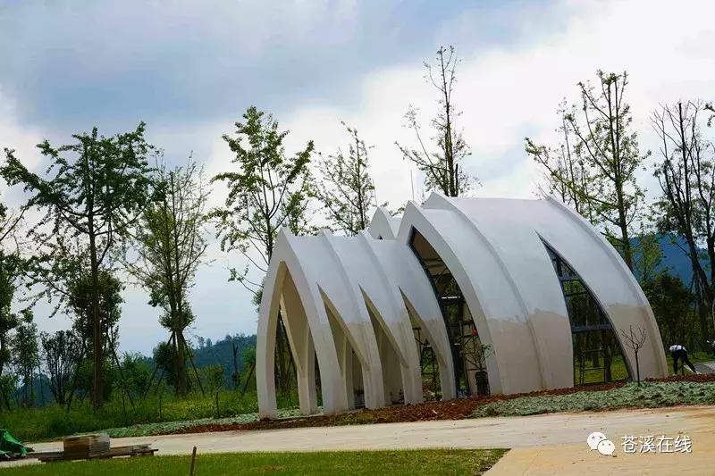 苍溪湿地公园有什么,苍溪最新湿地公园