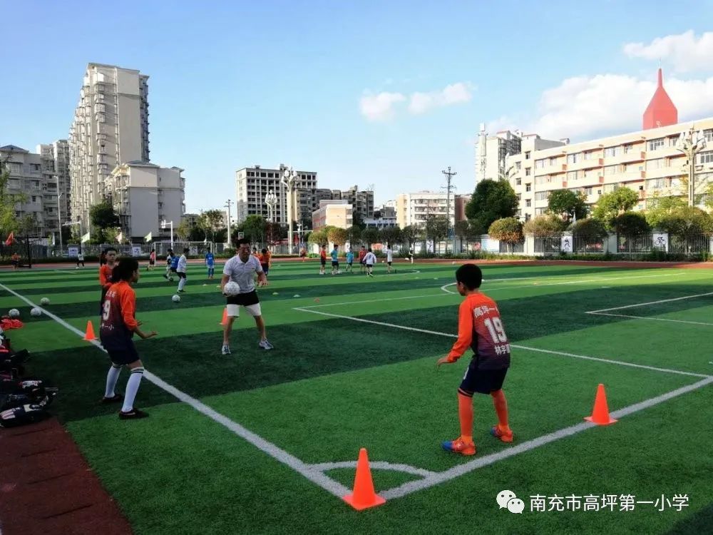 绿茵场上挥洒的青春,绿茵场上挥洒汗水追逐梦想