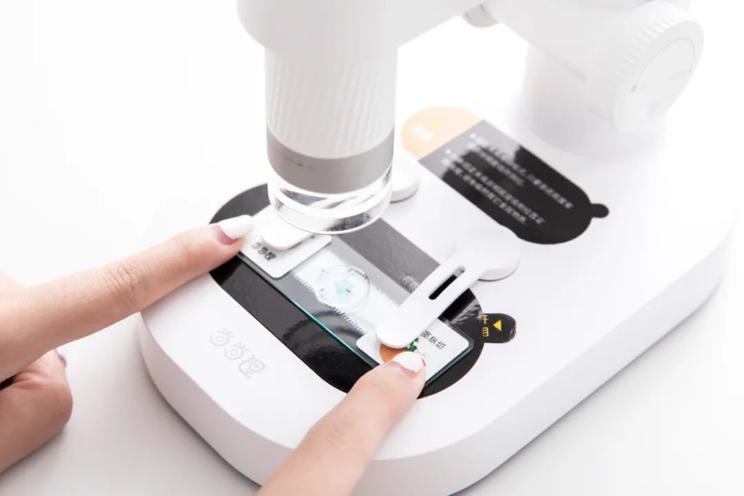 暑假孩子玩手机不如打篮球吧,儿童显微镜放大蚂蚁120倍