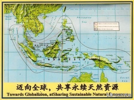 泰国即食燕窝是真的吗,泰国的燕窝是真的吗