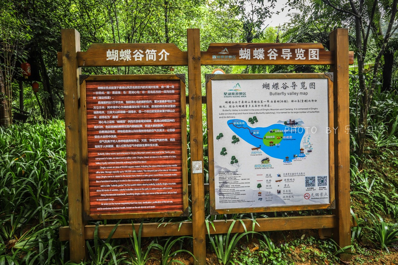 享受鼎湖山绝美风景,换个角度的风景