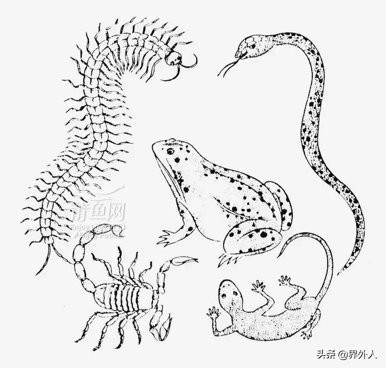 端午节五毒月是真的吗,端午节五毒日要注意什么